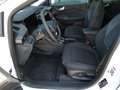 Ford Puma 1.0 EB MH Titanium*Winter Weiß - thumbnail 6