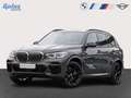 BMW X5 xDrive40d (2019 - 2023) Grau - thumbnail 1