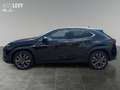 Lexus Sonstige UX 300h F Sport Design +18'Zoll+elekt.Heckkl+Navi+ Schwarz - thumbnail 3