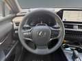 Lexus Sonstige UX 300h F Sport Design +18'Zoll+elekt.Heckkl+Navi+ Schwarz - thumbnail 13
