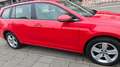 Volkswagen Golf Variant Golf VII Diesel 1.6 TDI 4Motion Rojo - thumbnail 7