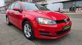Volkswagen Golf Variant Golf VII Diesel 1.6 TDI 4Motion Rojo - thumbnail 5