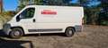 Fiat Ducato fiat ducato - thumbnail 1