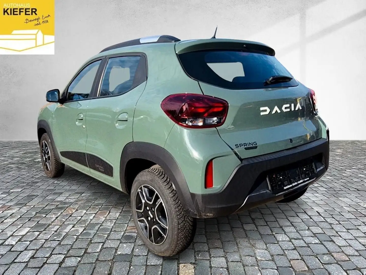 Dacia Spring Essential 45 GJ Reifen Grün - 2