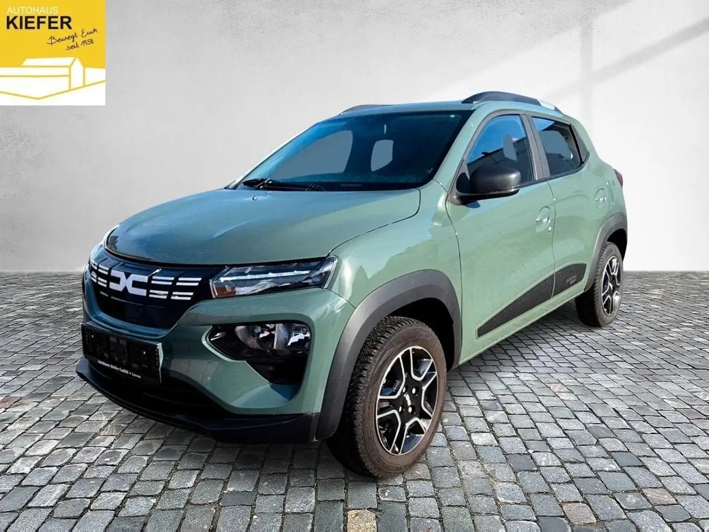 Dacia Spring Essential 45 GJ Reifen Grün - 1