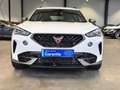 CUPRA Formentor FORMENTOR VZ e-HYBRID NAVI LED ACC DCC SPURPAKET Weiß - thumbnail 2