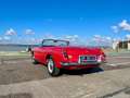 MG MGB OVERDRIVE Rosso - thumbnail 14