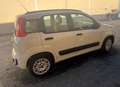 Fiat Panda Panda III 2012 1.2 Easy 69cv E6 Beige - thumbnail 4