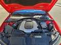 Audi A6 Avant 3.0BiTDI Competition Q.Tip. 240kW Rouge - thumbnail 24