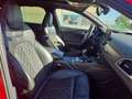 Audi A6 Avant 3.0BiTDI Competition Q.Tip. 240kW Rouge - thumbnail 22
