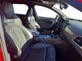 Audi A6 Avant 3.0BiTDI Competition Q.Tip. 240kW Rouge - thumbnail 20