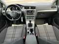 Volkswagen Golf 1.6 TDI Highline BlueMotion Gris - thumbnail 4