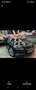 BMW 520 Touring 520d - thumbnail 3