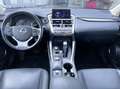 Lexus NX 300 2.5 Hybrid 155CV 4WD E6 Automatica - 2017 Stříbrná - thumbnail 6