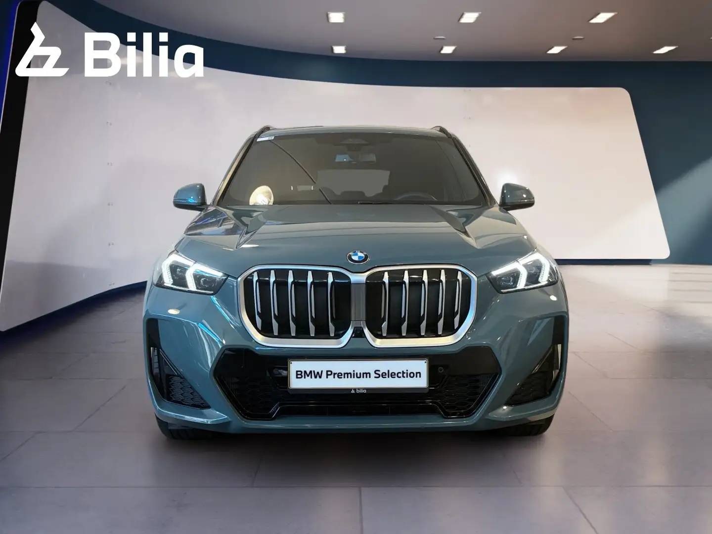 BMW X1 xDrive20d Head-Up HK HiFi DAB Grün - 2