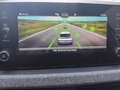 Skoda Kamiq Selection 1.0 TSI Sitzh PDC Kamera Keyless Blanc - thumbnail 13