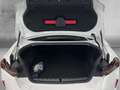 BMW 218 Coupe Automatik M Sport 18''NAVI LED ALARM AHK PAR Weiß - thumbnail 15