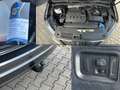 SEAT Alhambra 2.0TDI DSG Style 7-Sitze+NaviPLUS+BiXEN Gris - thumbnail 20