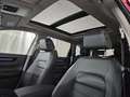 Honda CR-V Advance AWD Aut.|Auto Stahl Wien 23 Rot - thumbnail 14