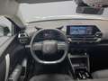 Citroen C4 Hybrid Business Edition eDSC6 145 Verde - thumbnail 22