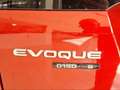 Land Rover Range Rover Evoque Evoque 2.0d i4 mhev R-Dynamic S awd 150cv auto Rosso - thumbnail 13