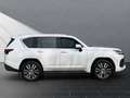 Lexus LX 500d D Luxury  Mark Levinson+Full Options Weiß - thumbnail 6