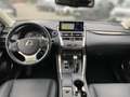 Lexus NX 300h Executive Line NAVI KAMERA LED SHZ KLIMA Grau - thumbnail 8