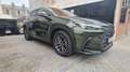 Lexus NX 450h+ Executive 4WD Verde - thumbnail 9