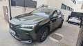Lexus NX 450h+ Executive 4WD Verde - thumbnail 11