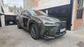 Lexus NX 450h+ Executive 4WD Verde - thumbnail 8