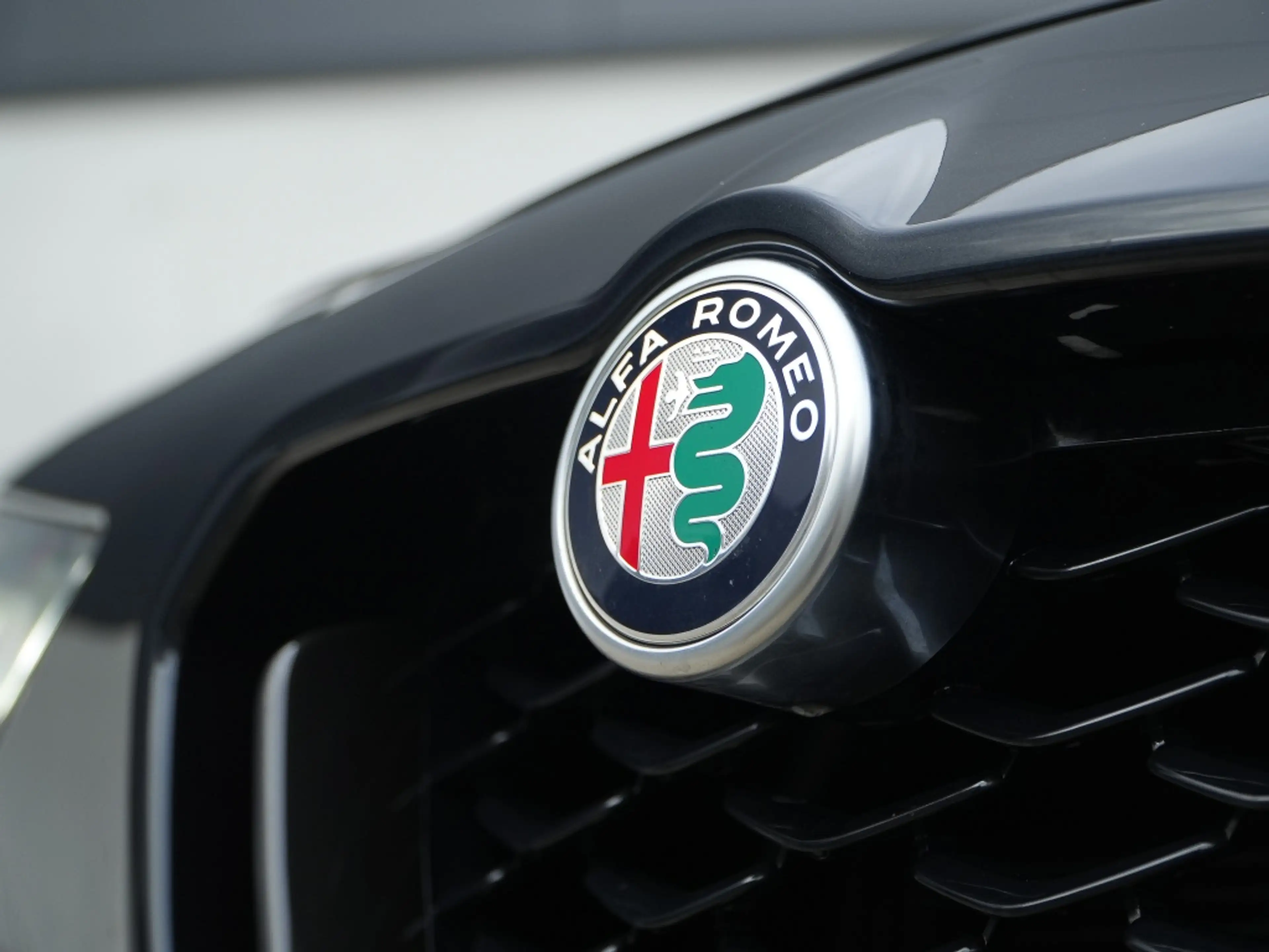 Alfa Romeo Stelvio 2.0 Turbo 280 PK AWD Competizione | Veloce | Pano — photo 8