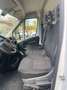Citroen Jumper CITROEN JUMPER 35 L1H1 BlueHDi 140cv Blanc - thumbnail 22