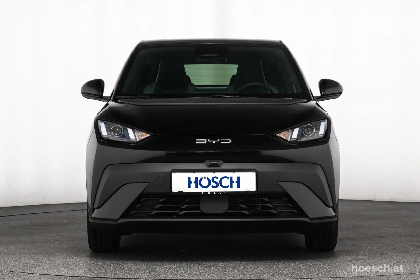 BYD Dolphin Surf BOOST 43 kWh LEDER KAMERA NEU MEGAPREIS Schwarz - 2
