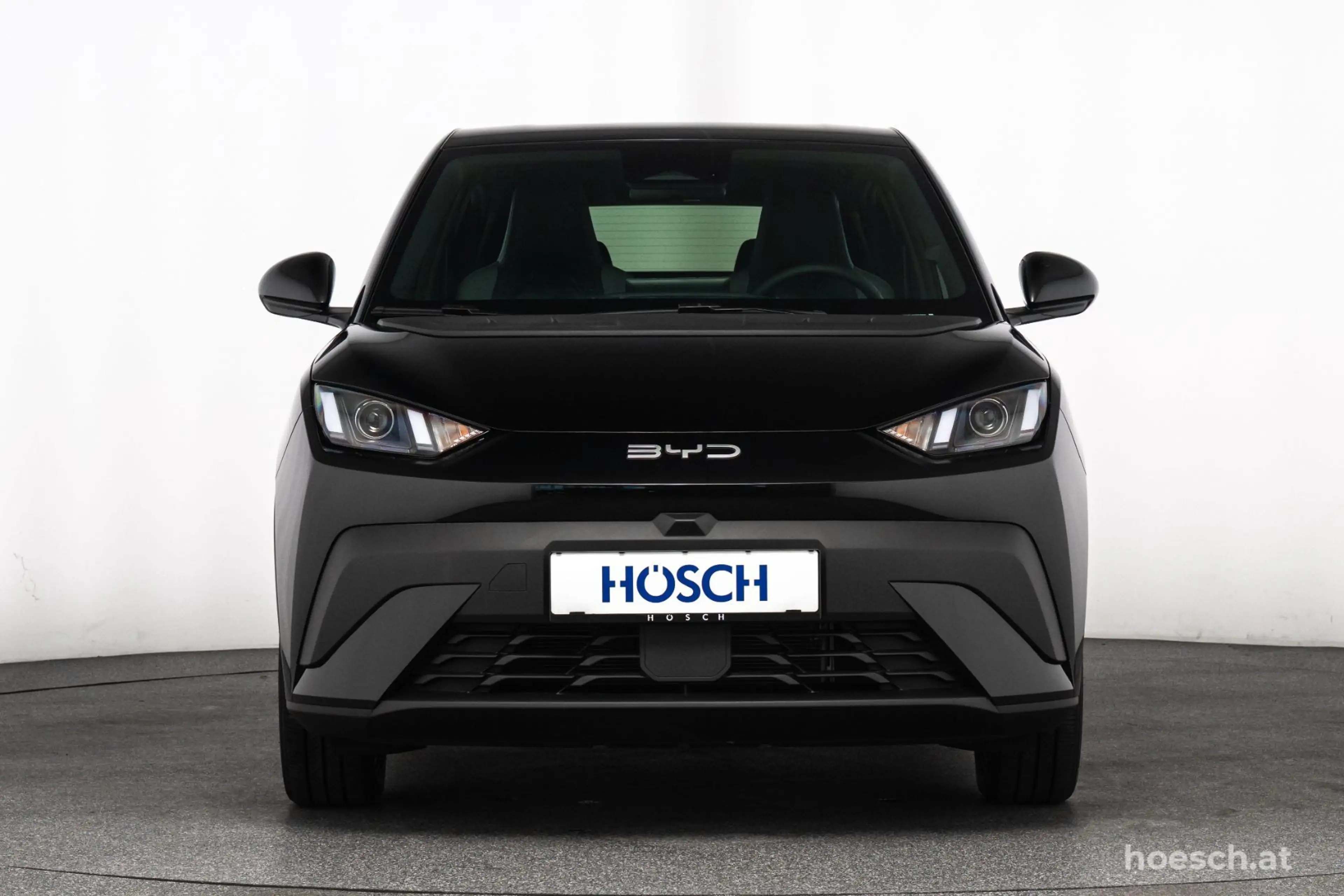 BYD Dolphin Surf BOOST 43 kWh LEDER KAMERA NEU MEGAPREIS — photo 2
