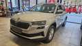 Skoda Karoq 2,0 TDI 4x4 DSG Selection Grijs - thumbnail 1