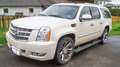 Cadillac Escalade ESV Platinum Weiß - thumbnail 1