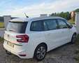 Citroen Grand C4 Picasso 1.6 BlueHDI Shine-7.Sitzer- Pickerl 07.2027 Weiß - thumbnail 3