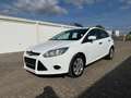 Ford Focus Ambiente Weiß - thumbnail 2