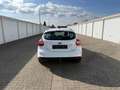 Ford Focus Ambiente Weiß - thumbnail 5