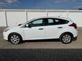 Ford Focus Ambiente Weiß - thumbnail 3