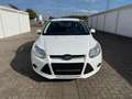 Ford Focus Ambiente Weiß - thumbnail 1