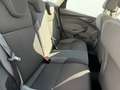 Ford Focus Ambiente Weiß - thumbnail 18