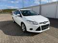 Ford Focus Ambiente Weiß - thumbnail 8