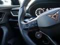 CUPRA Formentor 2.5 TSI VZ5 4Drive BEATS CUP-BUCKET Grau - thumbnail 17