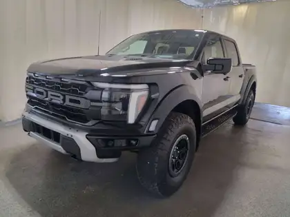 Blue 2025 Ford F-150 Pickup Truck Four-Wheel Drive Automatic