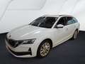 Skoda Octavia Combi Selection 1.5 eTSI AHK/Standhzg Weiß - thumbnail 2