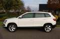Skoda Karoq 1.5 TSI 150pk ACT Ambition Business automaat ECC/c Wit - thumbnail 21