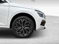 Skoda Kamiq 1.0 TSI 115 CV Black Dots Wit - thumbnail 15