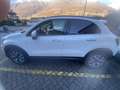 Fiat 500X 500 X 2015 1.4 tjt Cross Plus 4x2 Gpl 120cv - thumbnail 4