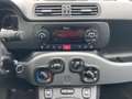 Fiat Panda Panda 1.0 firefly hybrid City Life Gris - thumbnail 12
